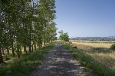 Barracas in Castellon