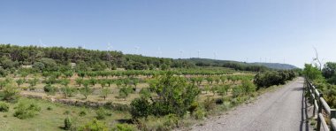 Barracas in Castellon