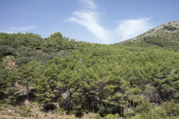 Barracas in Castellon