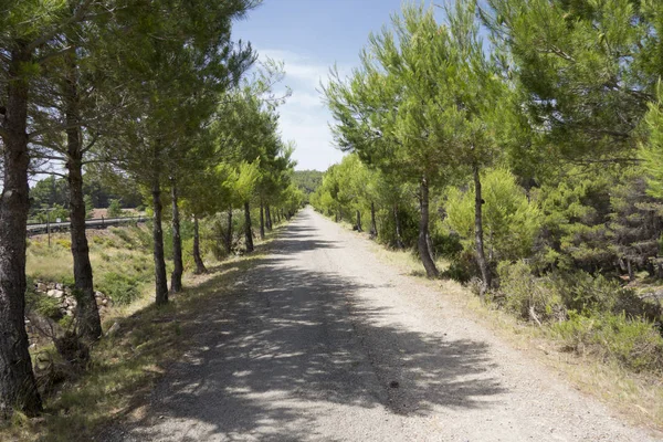 Barracas in Castellon