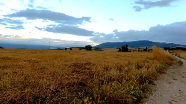 Aufstieg an die Spitze der Vergebung — Stockvideo