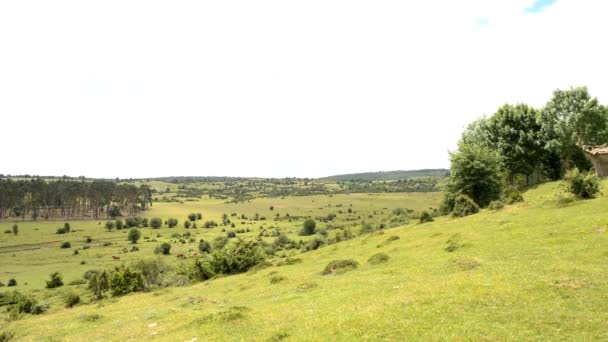 Parco naturale di Urbasa e andia — Video Stock