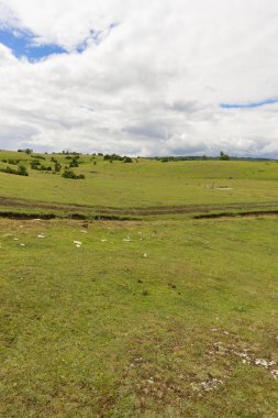 Doğal park Urbasa ve andia