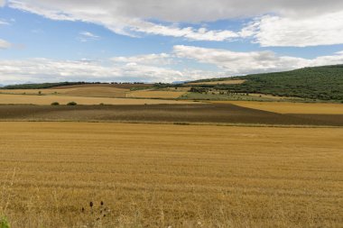 Saman navarra il alanında