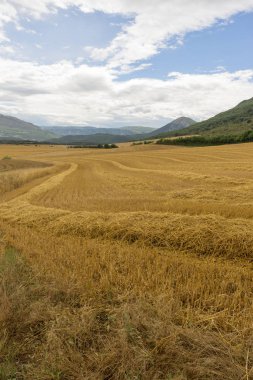 Saman navarra il alanında