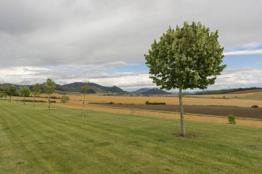 Saman navarra il alanında