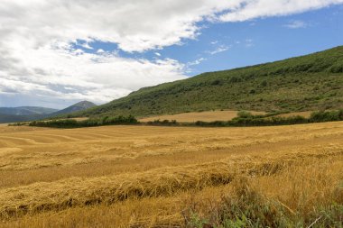 Saman navarra il alanında
