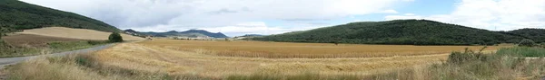 Champ de paille dans la province de Navarra — Photo