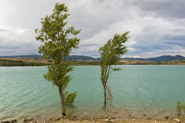 Lerate Alloz rezervuar