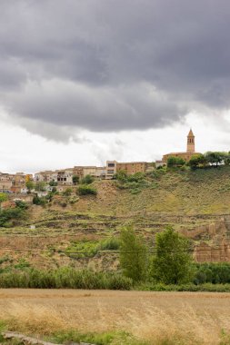 Cerin şehir