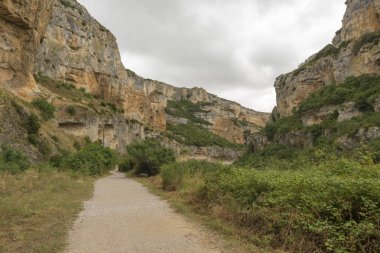 Irati lumbier ağzına giriyor