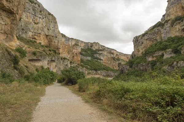 Irati lumbier ağzına giriyor