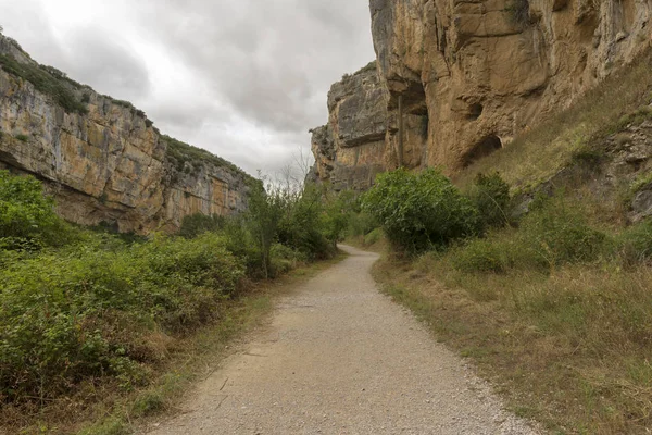 Irati lumbier ağzına giriyor