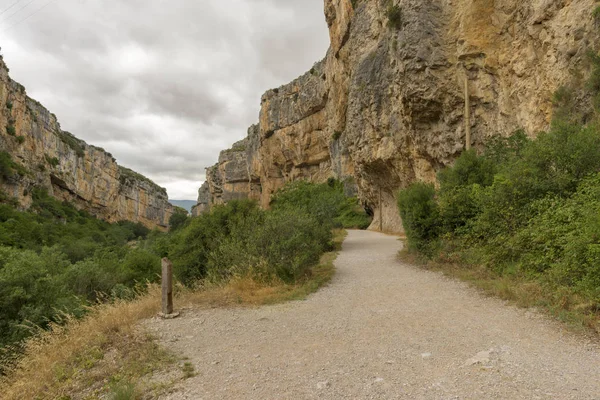 Irati lumbier ağzına giriyor