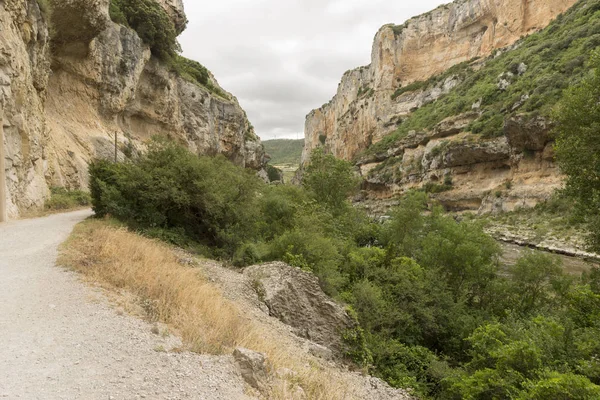 Irati lumbier ağzına giriyor