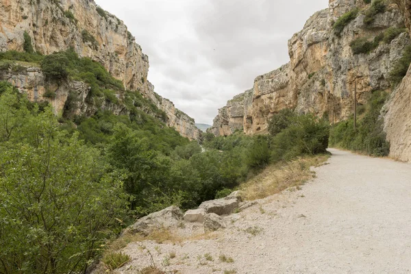 Irati lumbier ağzına giriyor