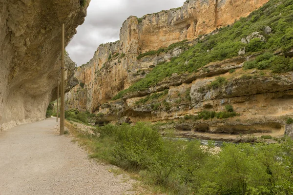 Irati lumbier ağzına giriyor