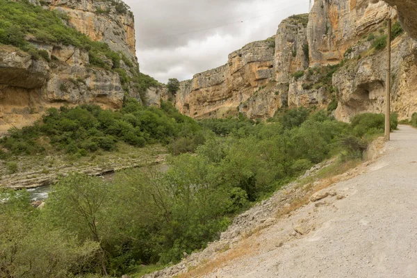 Irati lumbier ağzına giriyor