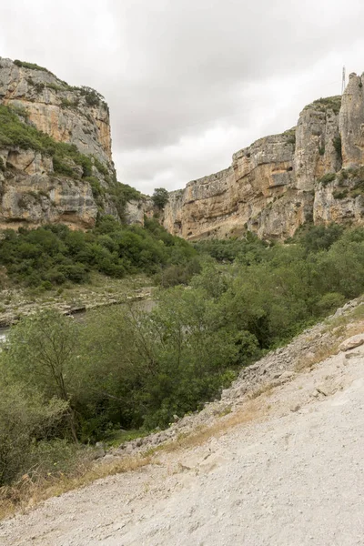 Irati lumbier ağzına giriyor