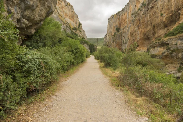 Irati lumbier ağzına giriyor