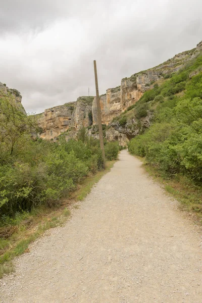 Irati lumbier ağzına giriyor