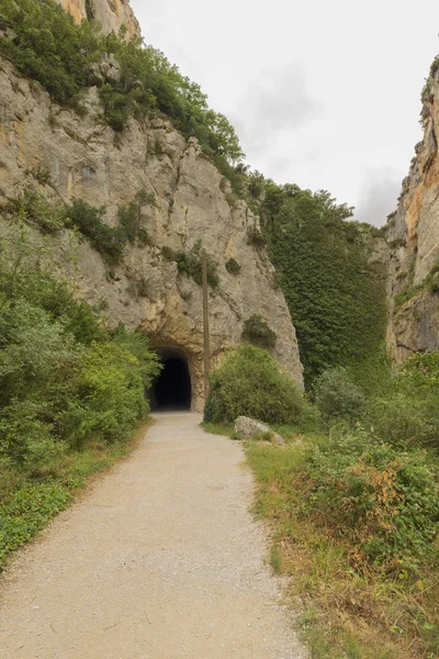 Greenway of irati in the mouth of lumbier — Stock Photo, Image