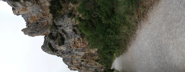 Grüner Weg der Irati — Stockfoto