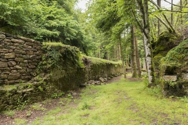 Silah terk edilmiş fabrikası