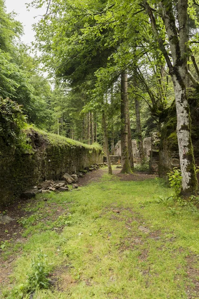 Silah terk edilmiş fabrikası