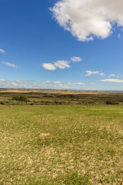 Bardenas reales çöl