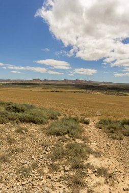 Bardenas reales çöl