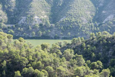 Nehir ebro bakış açısı