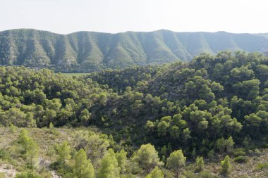 Nehir ebro bakış açısı