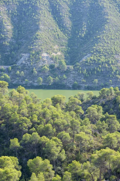 Nehir ebro bakış açısı — Stok fotoğraf