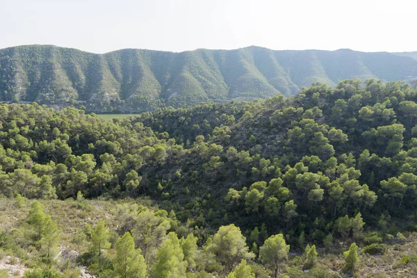 Nehir ebro bakış açısı