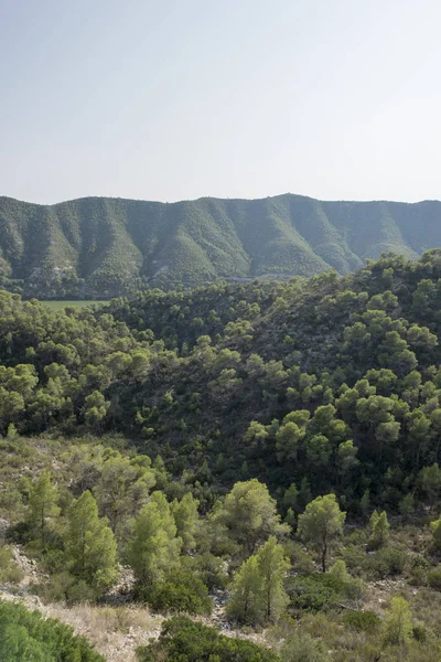 Nehir ebro bakış açısı