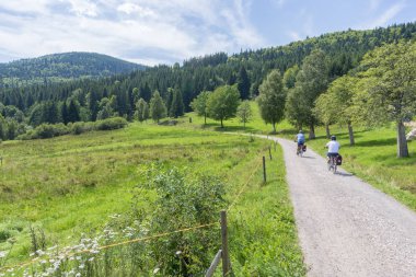 Schluchsee Gölü