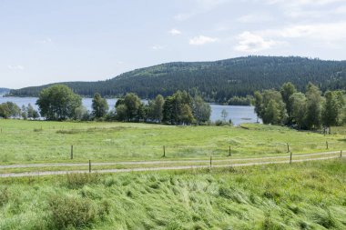 Schluchsee Gölü