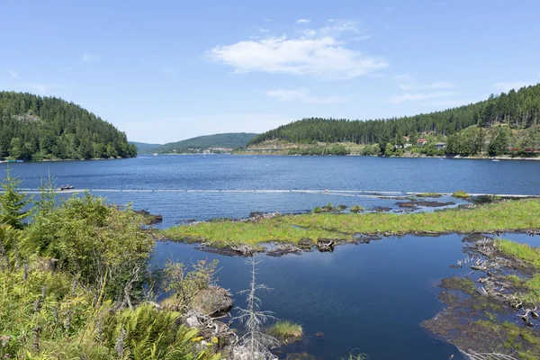 Η λίμνη Schluchsee — Φωτογραφία Αρχείου