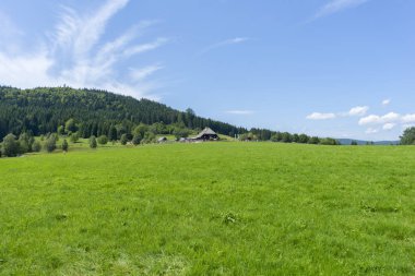 Schluchsee Gölü
