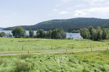 Schluchsee Gölü