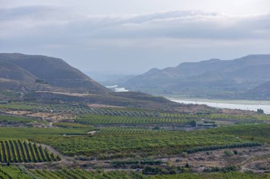 Nehir Ebro