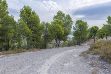 Mequinenza çevresindeki dağlık alan