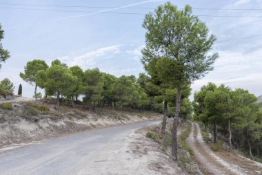 Mequinenza çevresindeki dağlık alan