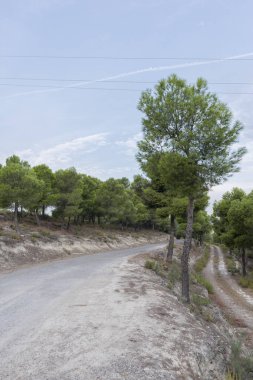 Mequinenza çevresindeki dağlık alan