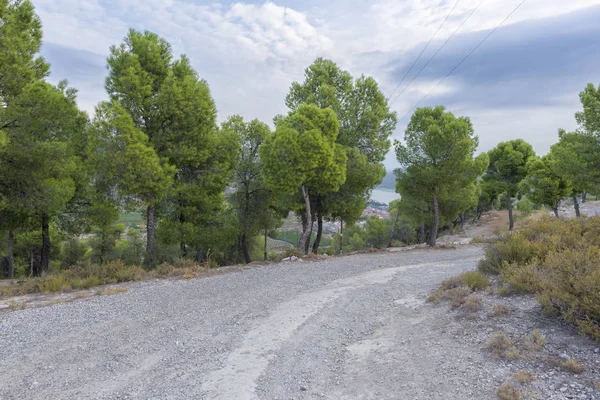 Mequinenza çevresindeki dağlık alan