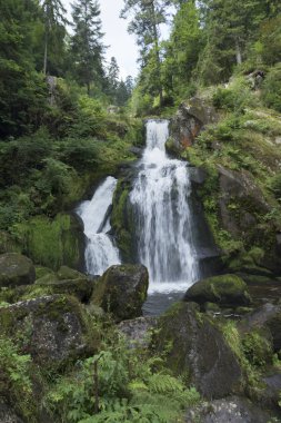 Triverg Köyü şelale