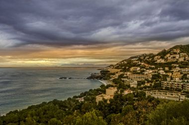 Roses in Costa brava