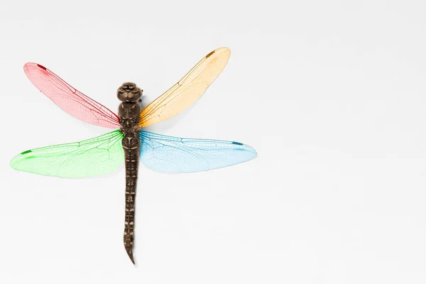 Makro fotografie dragonfly — Stock fotografie