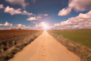 yeşil ve kahverengi